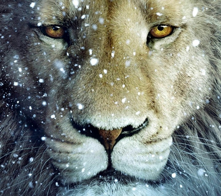 king