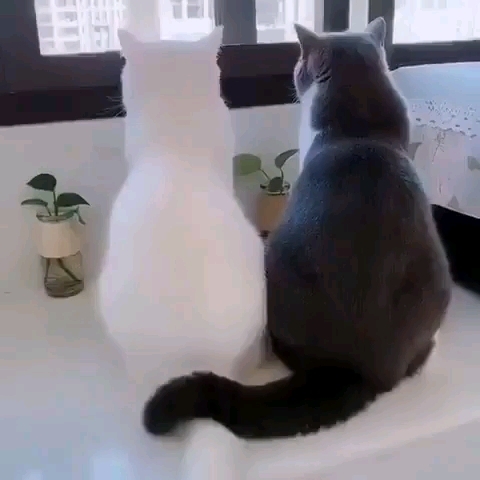 )))