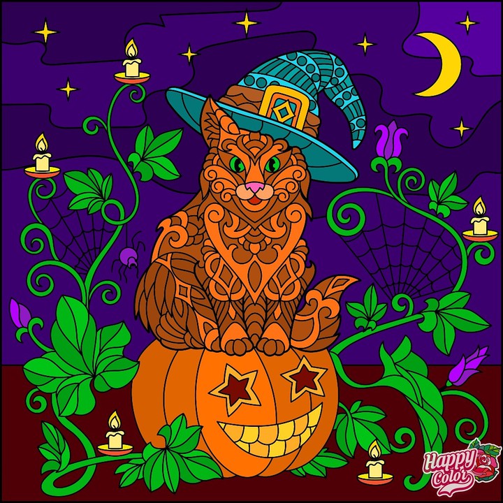 Halloween cat