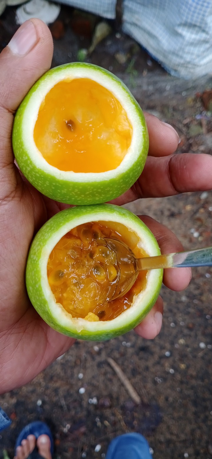 Passion Fruit