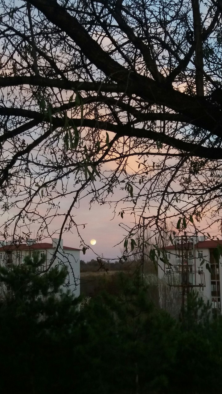 Edirne twilight