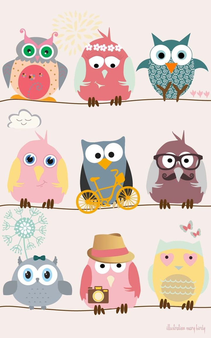 owls