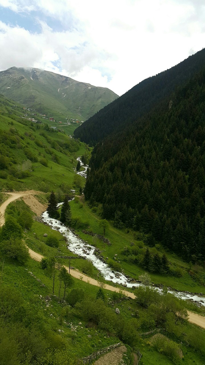 Karadeniz
