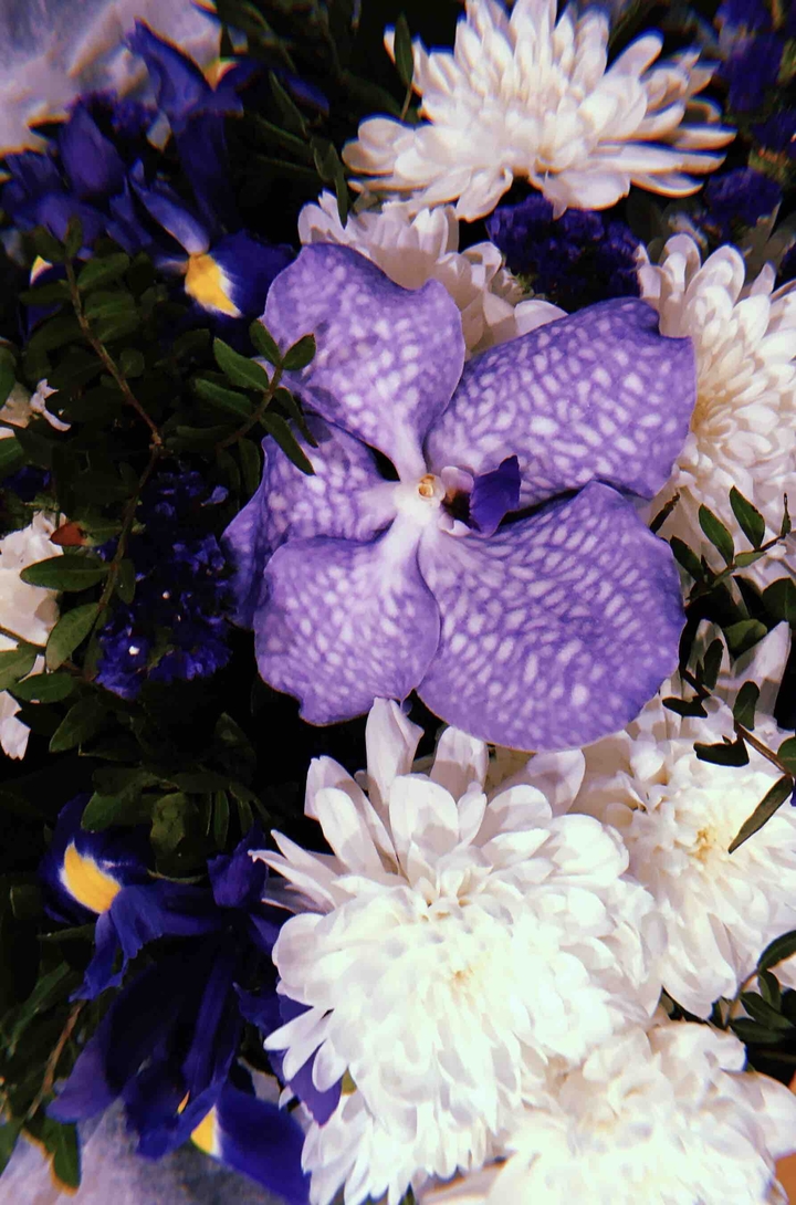flowers