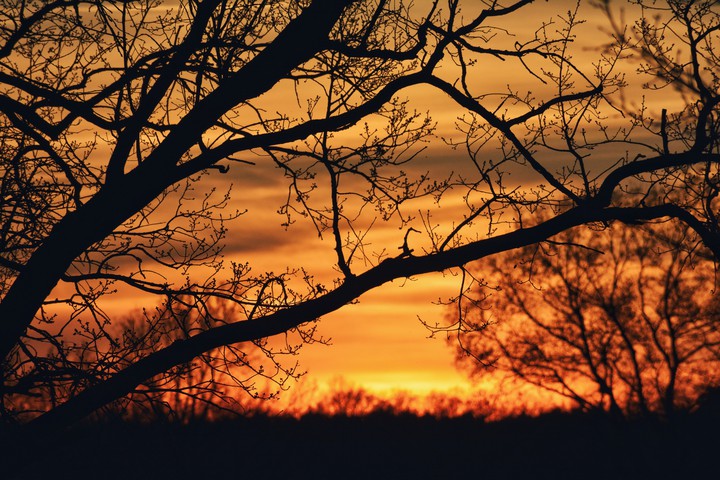 Sunset ?
