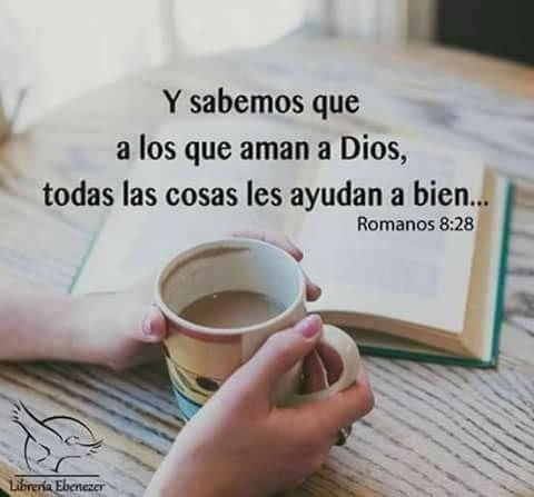 Romanos 8:28