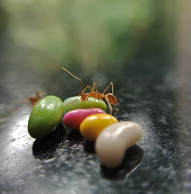 hungry
