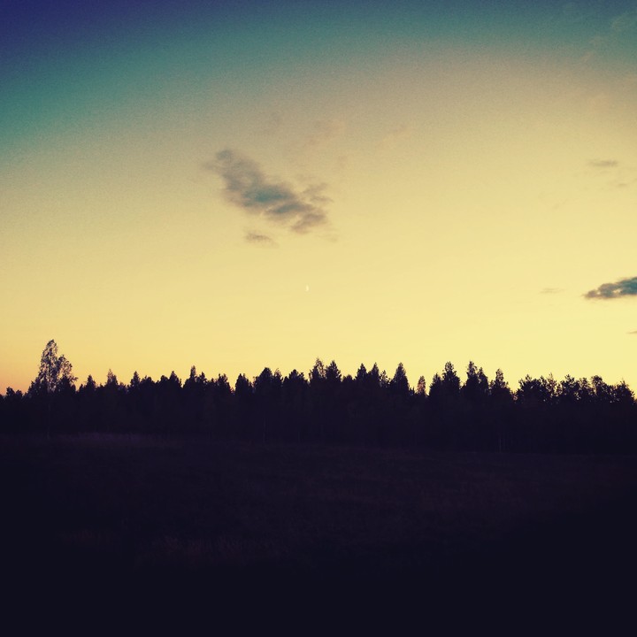 Лес