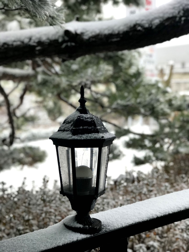 snow ❄️