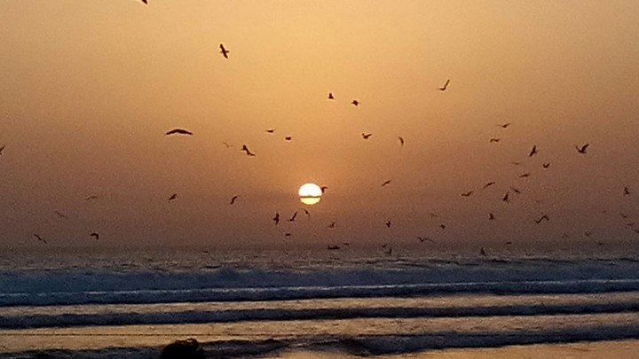 The Sea and the Sun