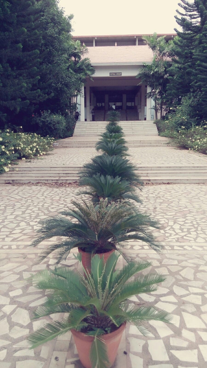 Central library