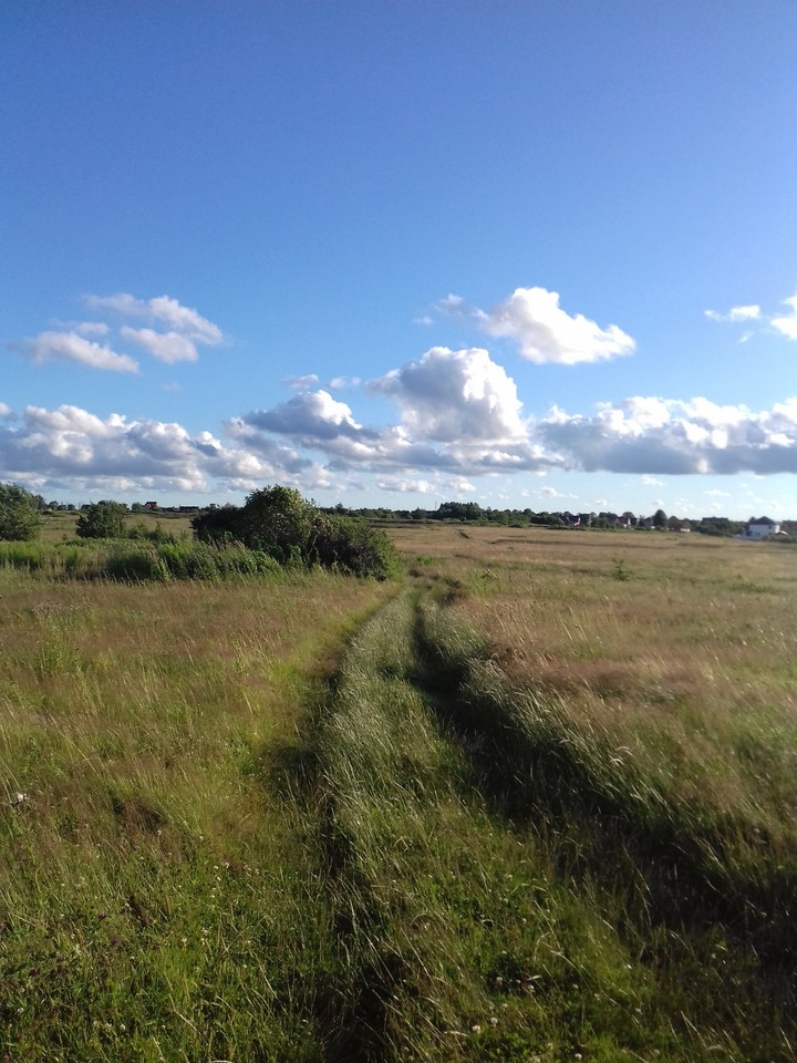 Field