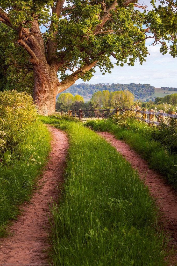 path