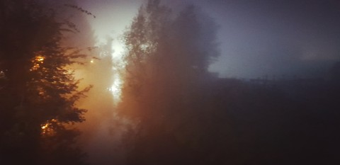 Foggy morning