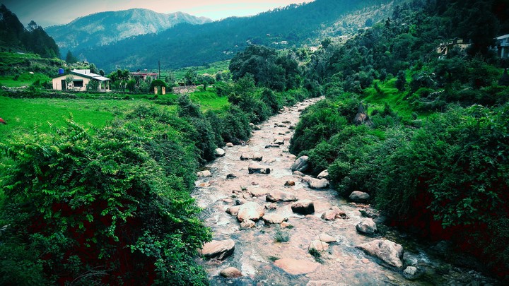 Nature