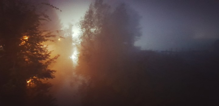 Foggy morning