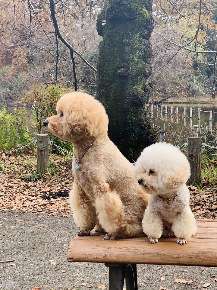 Lucky & Money