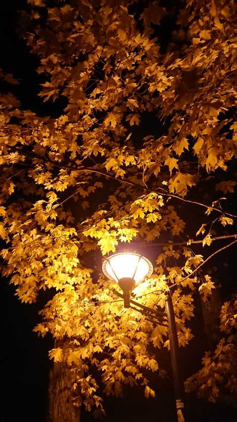 Autumn