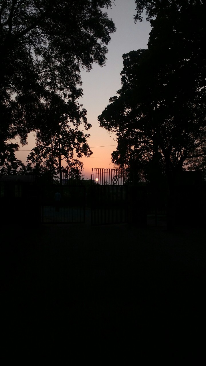university sunset