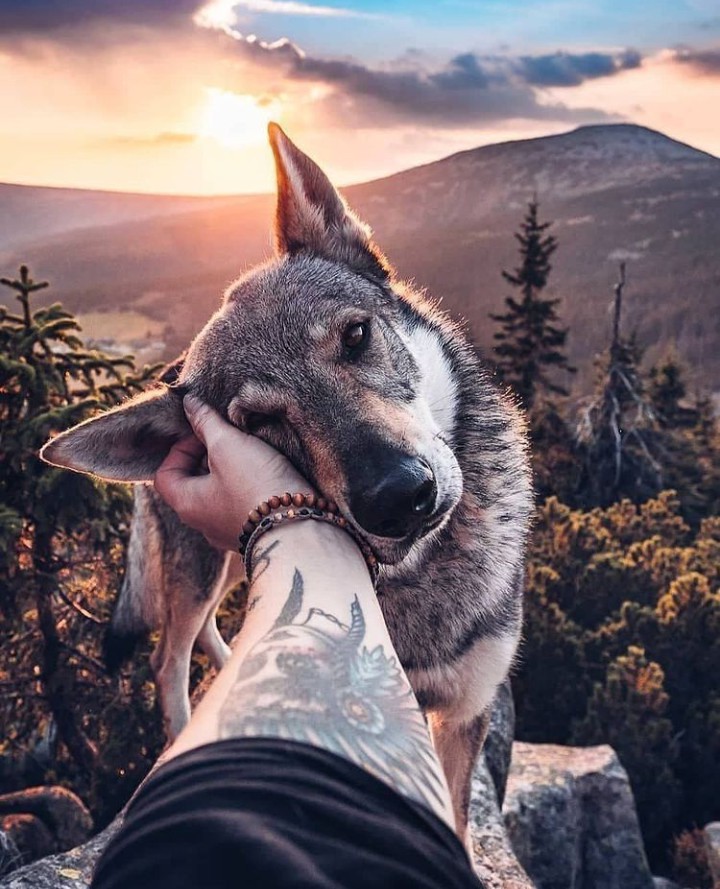 ❤️