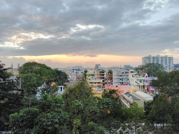 combination of trees and houses