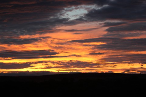 A dawn in the Mara