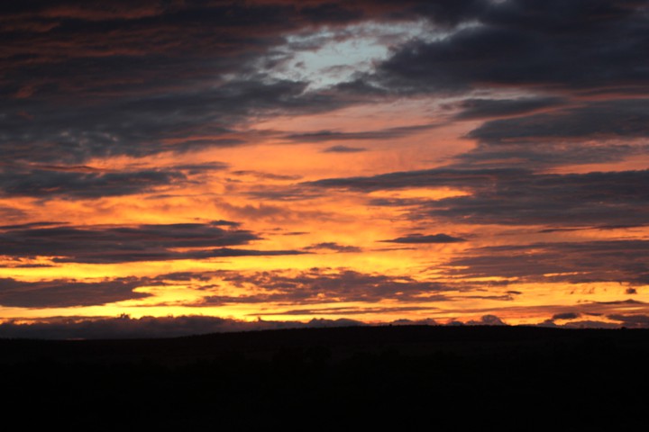 A dawn in the Mara