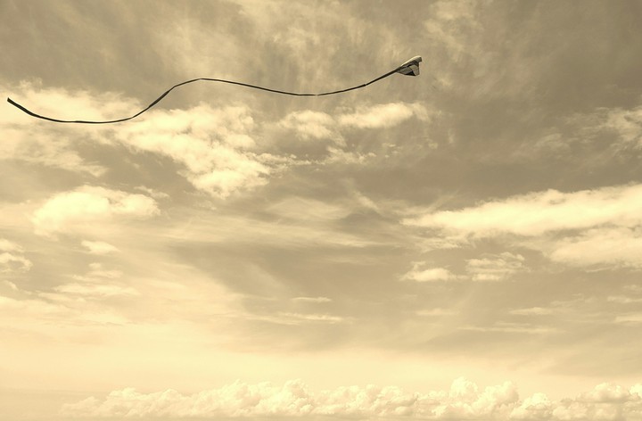 flight