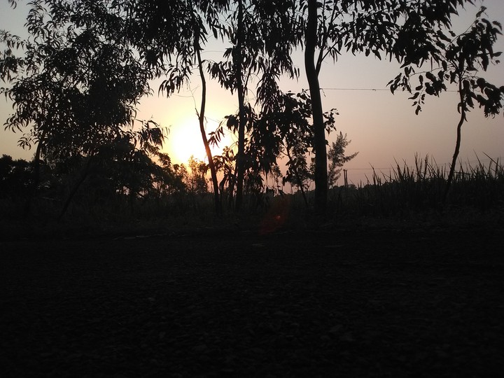 sun