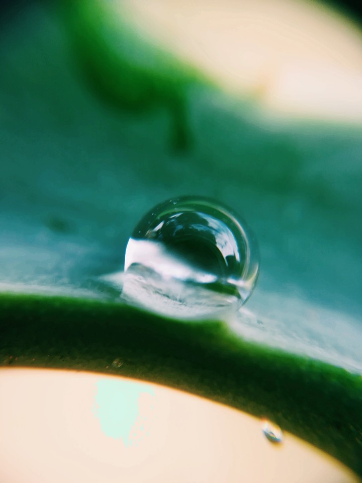A small rainy drop