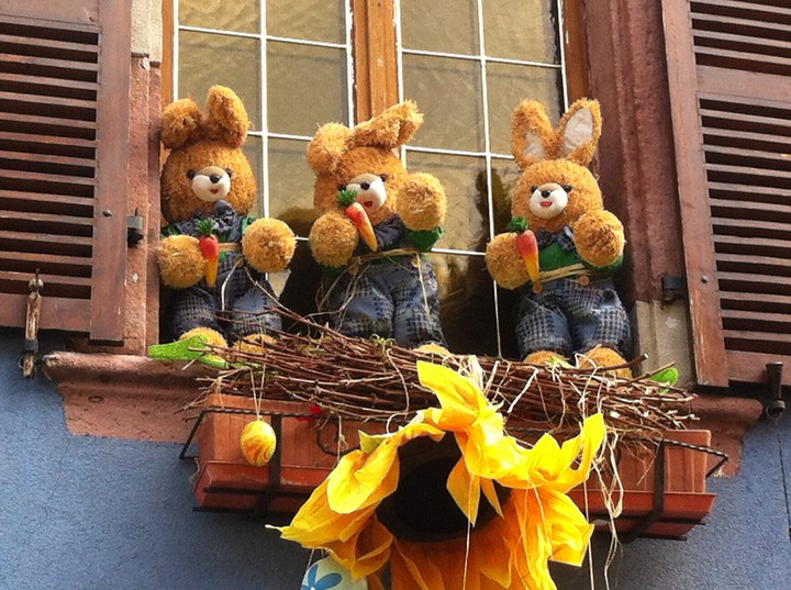 bunnies