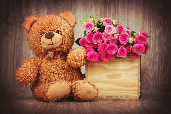 Cutest gift