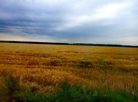 Beautiful Ukraine
