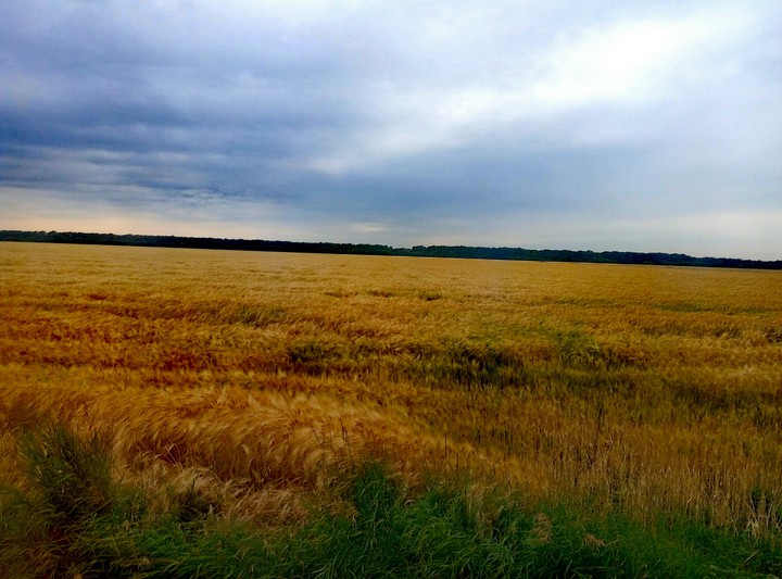 Beautiful Ukraine