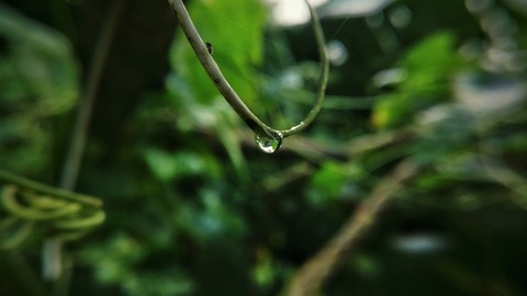water drop