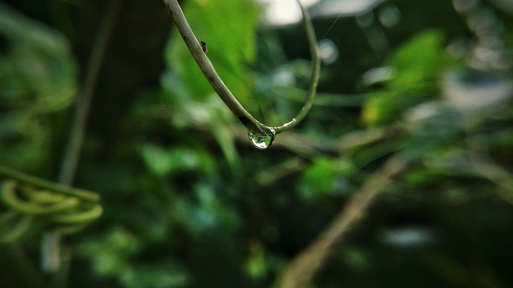 water drop