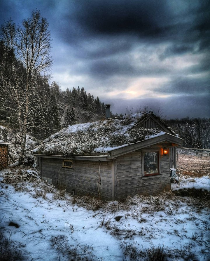 winter