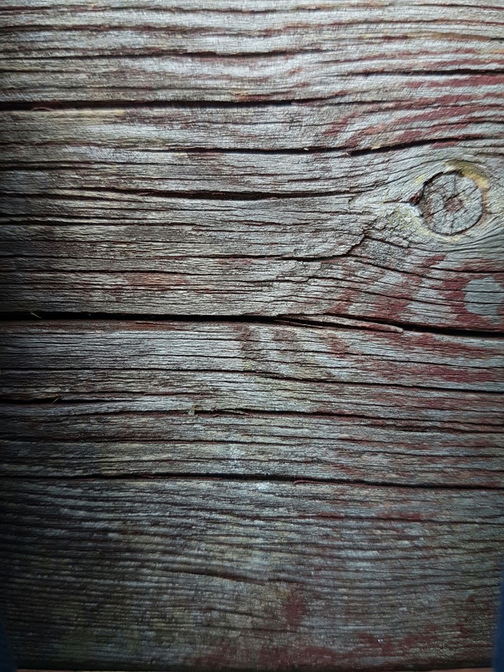 the red wood