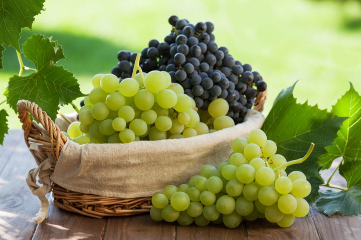BASKET OF WHITE AND BLACK GRAPES