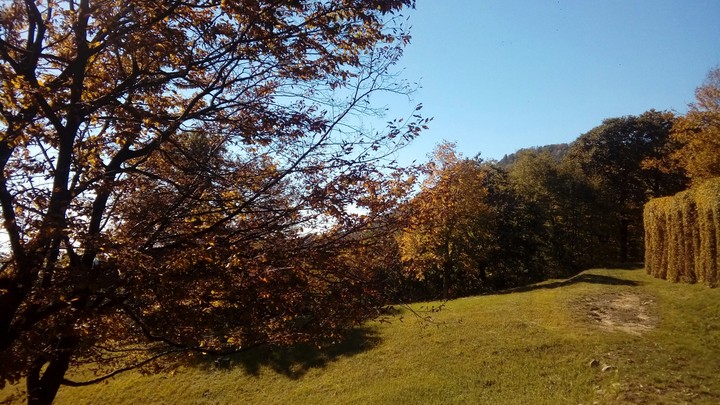Autumn in Friuli❤