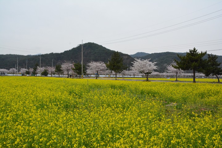 풍경이미지