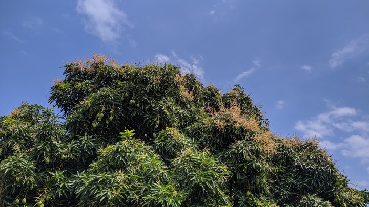 Manhã de sábado