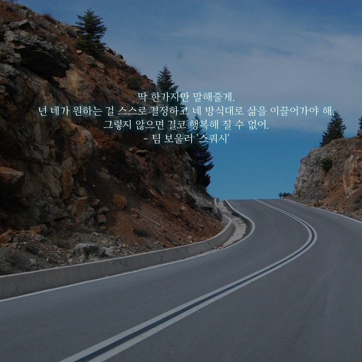 팀 보울러 '스쿼시'