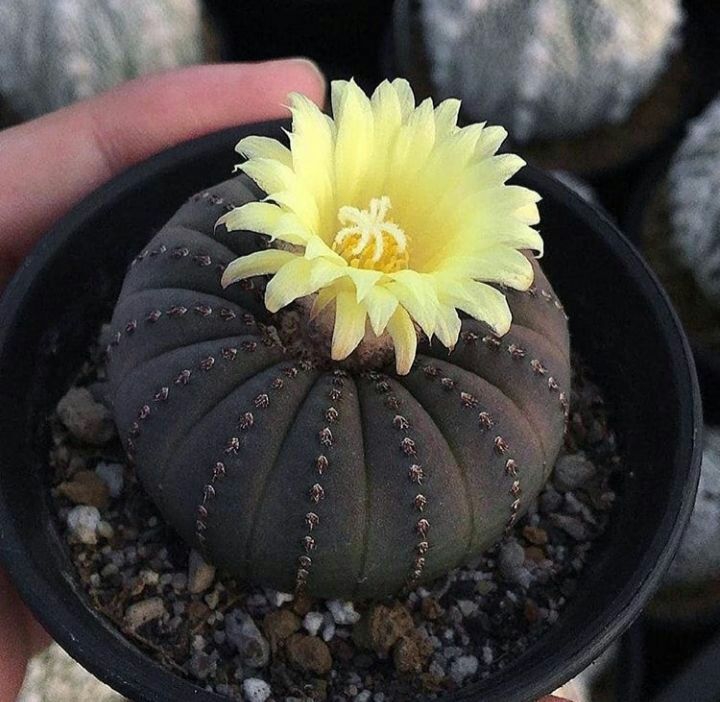 ❤