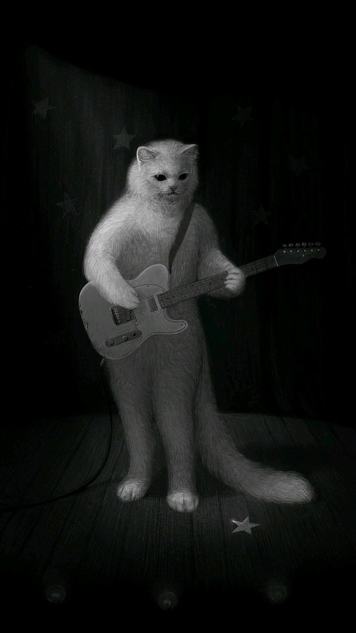 cat