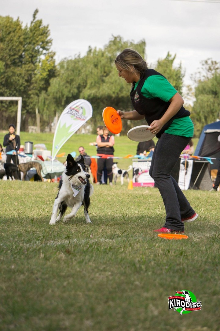 The Border Collie Because There Is No Better Dog