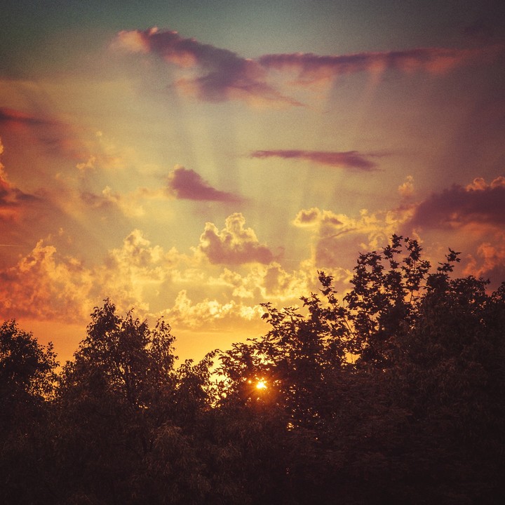 sun rise