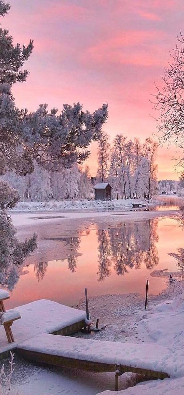 winter