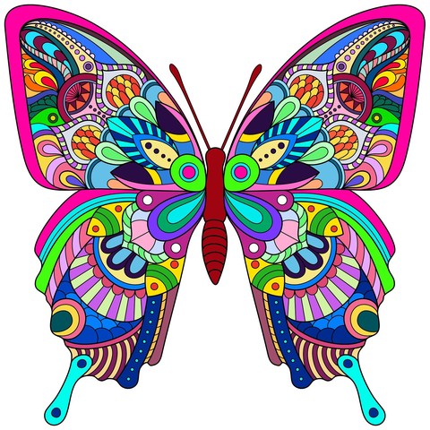 Colourful butterfly