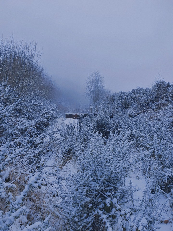 Winter season